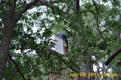 Entergy 118